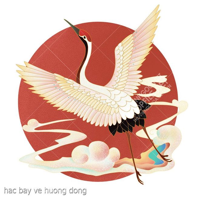 hac bay ve huong dong